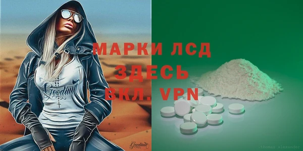 хмурый Алексин