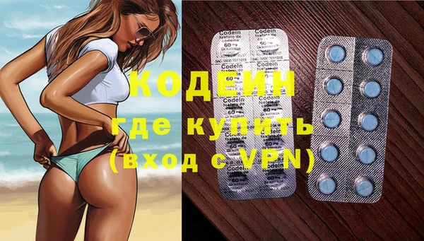 хмурый Алексин