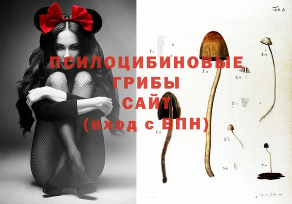 герыч Алзамай