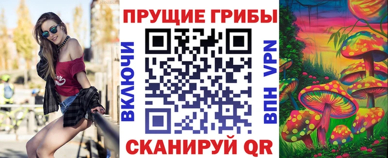 hydra вход  площадка клад  Псилоцибиновые грибы MAGIC MUSHROOMS  Туринск 